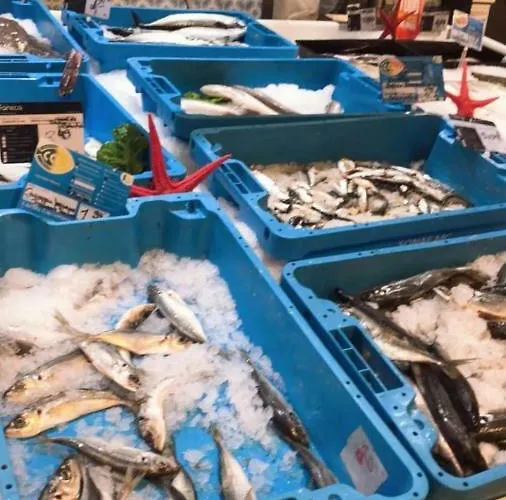 Lejlighed Luxury T2 *